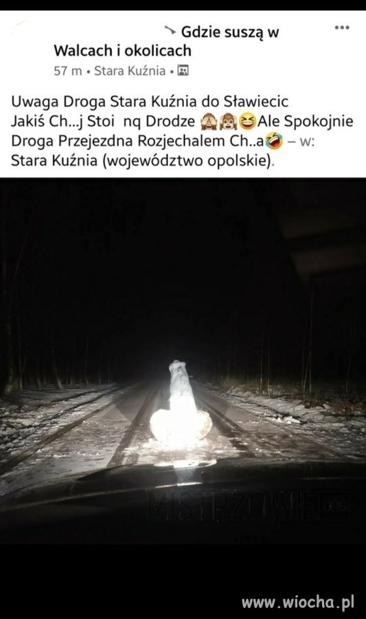 Zima 
