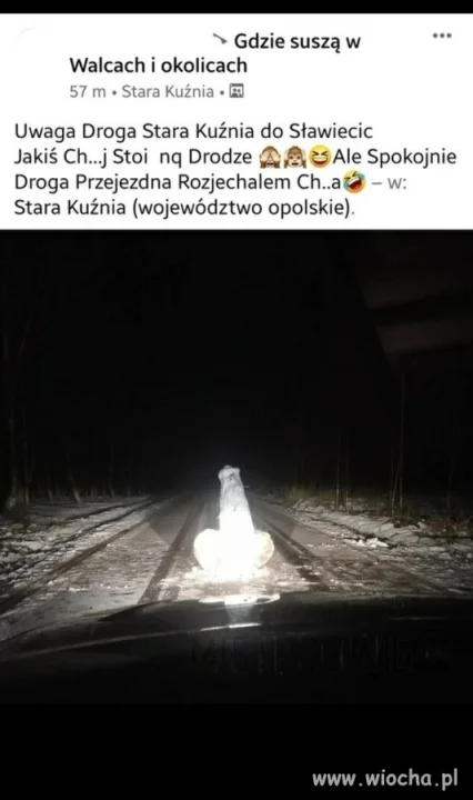 Zima 