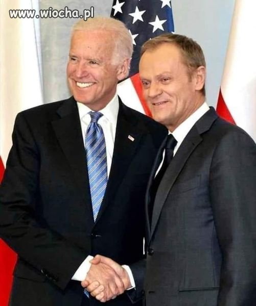 Patrz patrz kurduplu