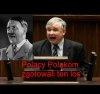 Polacy