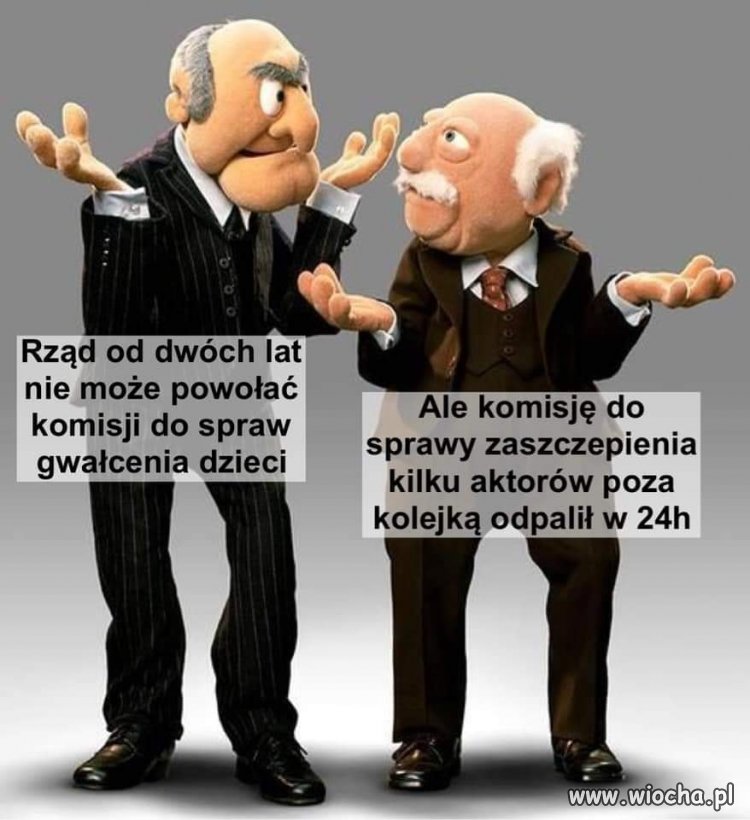 Cały zakłamany pis