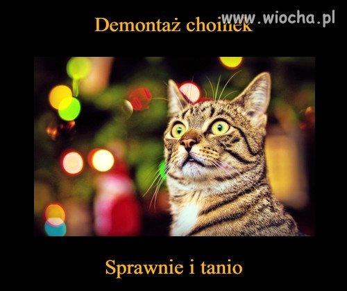 Demontaż choinek