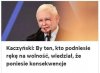 Coś podobnego 