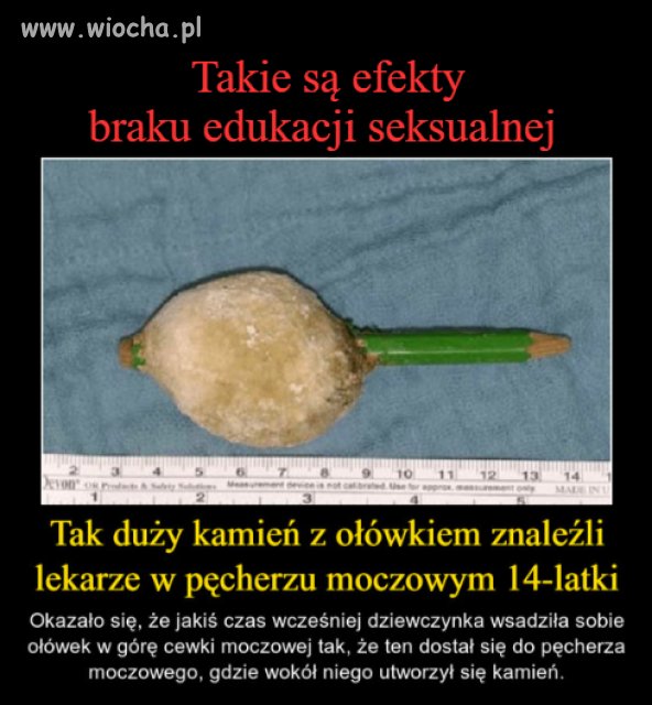 Edukacja seksualna 