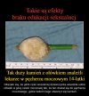 Edukacja seksualna 
