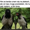 Tak jak u ludzi 