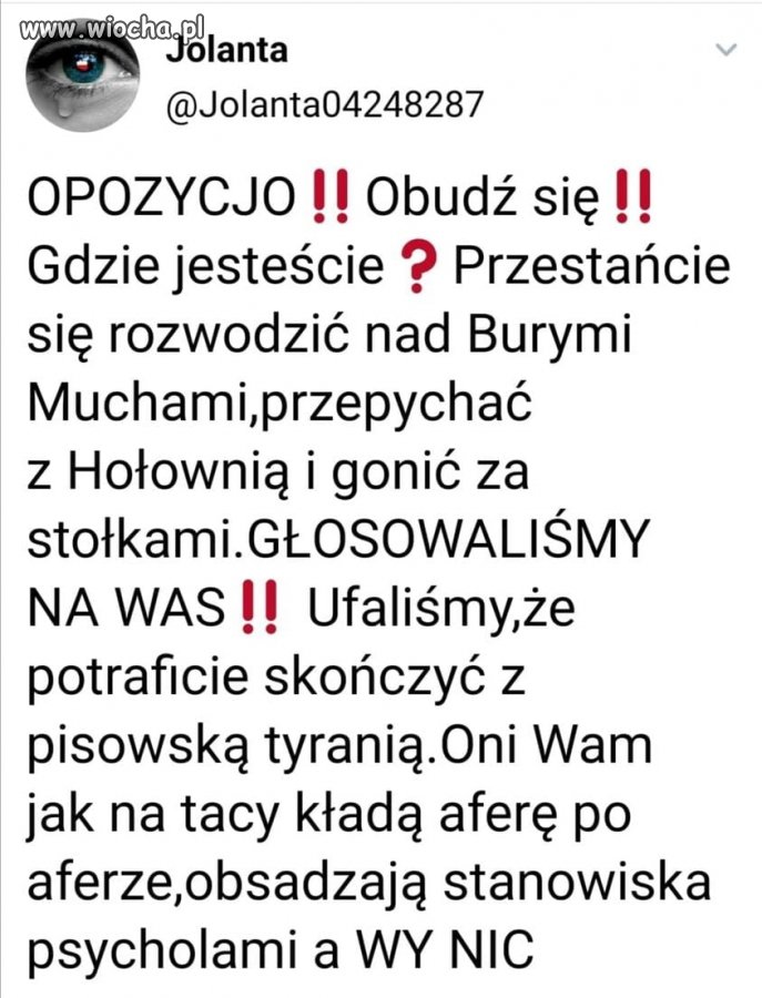 Jaka opozycja?