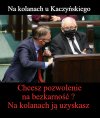 Tak uzyskasz pozwolenie wodza 