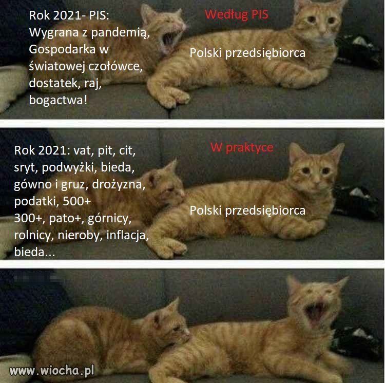 Nowy rok