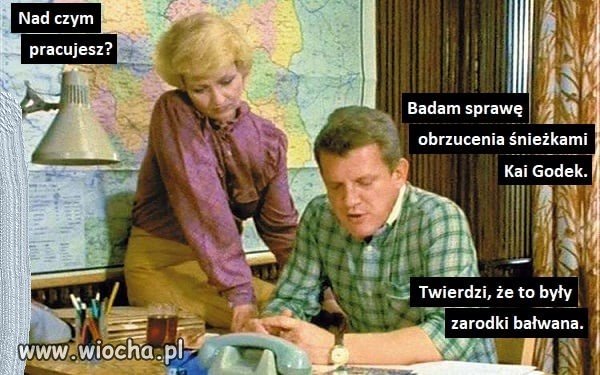 Zarodki bałwana 