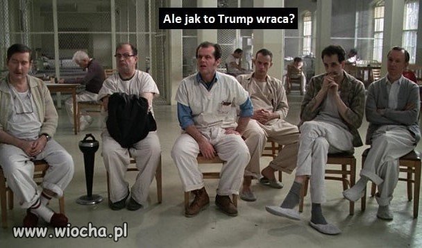 Donald wraca