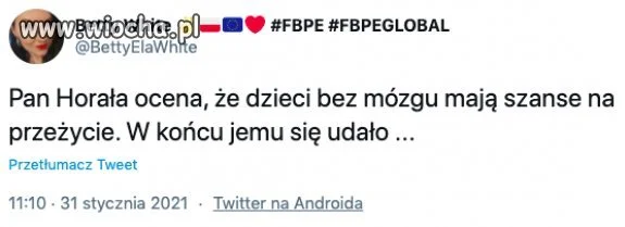 Jednak można żyć bez mózgu