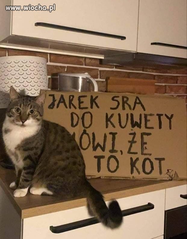 Z naszym krajem jest tak samo 