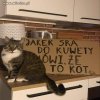 Z naszym krajem jest tak samo 