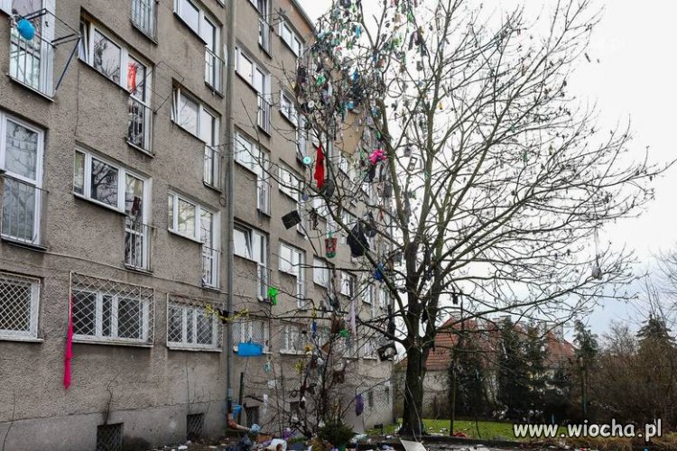 Szczecin Ul. Komuny Paryskiej
