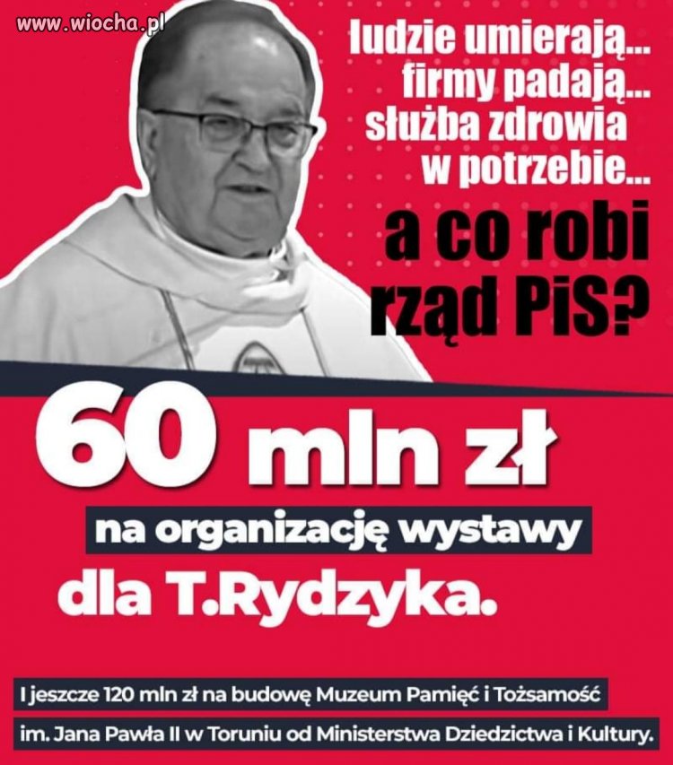 Cysorz to ma klawe życie