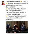 Coś podobnego 