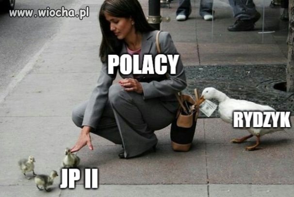 Coś w tym jest
