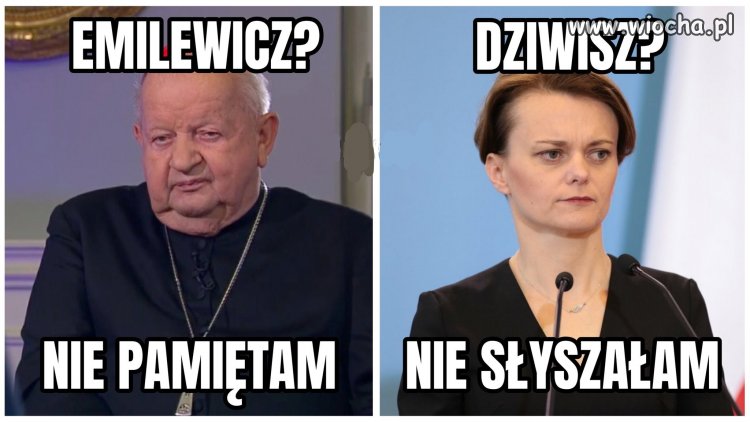 Zanik pamięci
