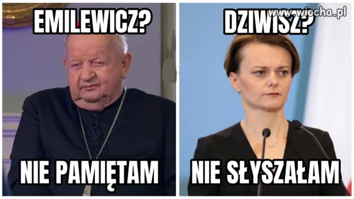 Zanik pamięci