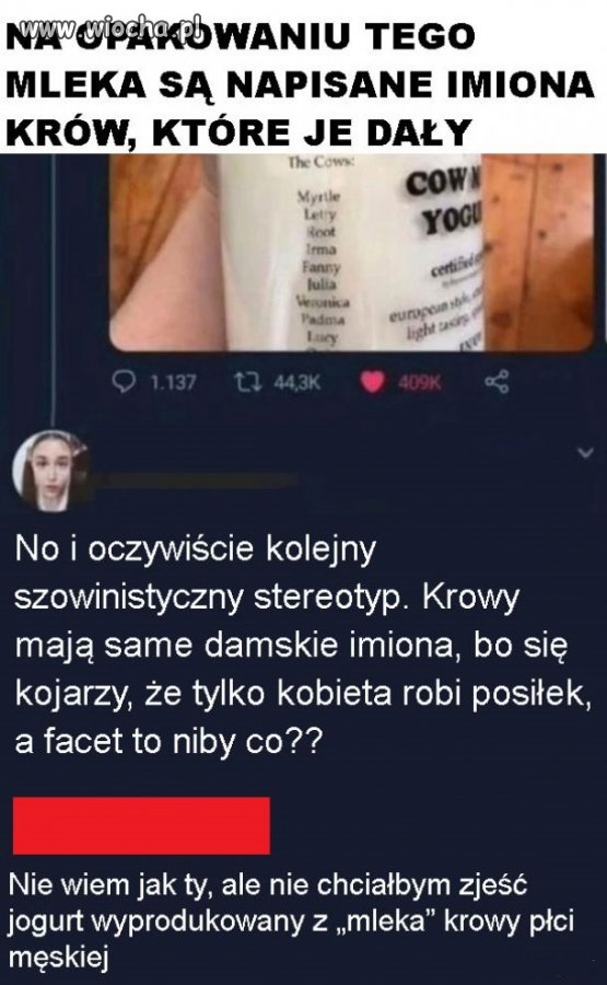 Feministki