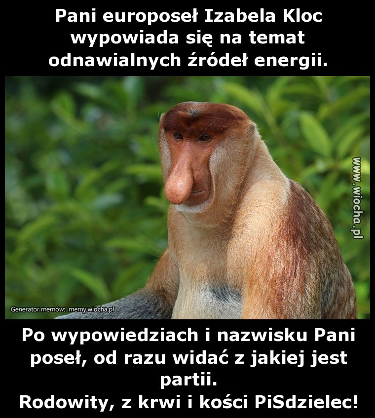 Pani europoseł Izabela Kloc wypowiada się na temat