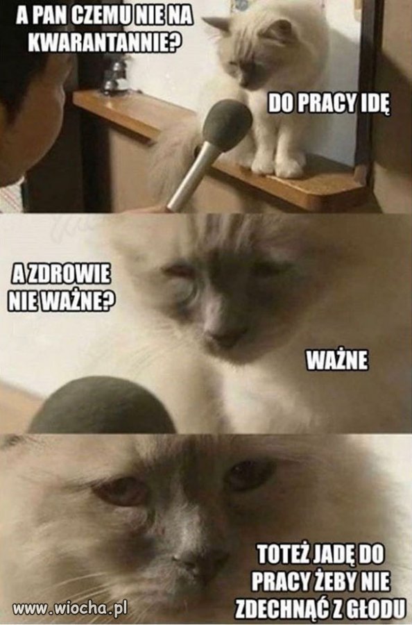 Z życia wzięte 