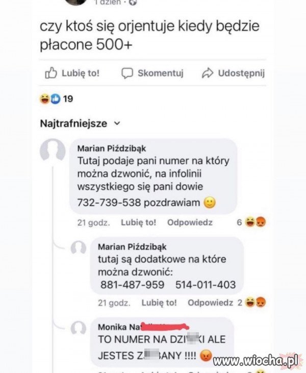 Pomocny Gość