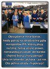 Jak to mówią 