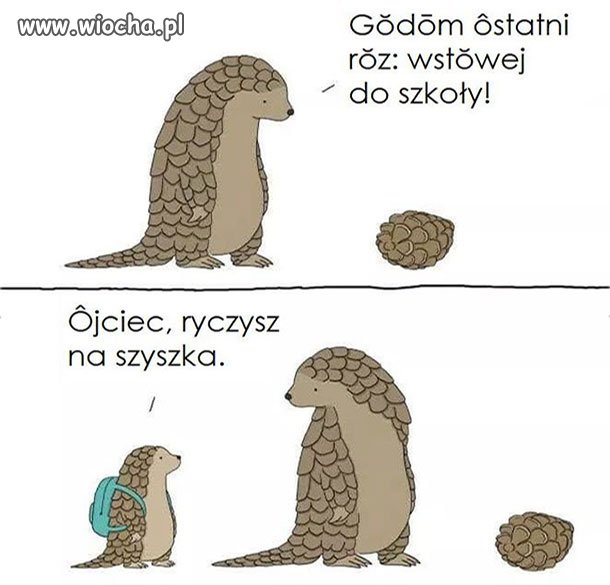 Mem po śląsku 