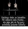 Piorko po piorku oskubuja Polske jak kore...