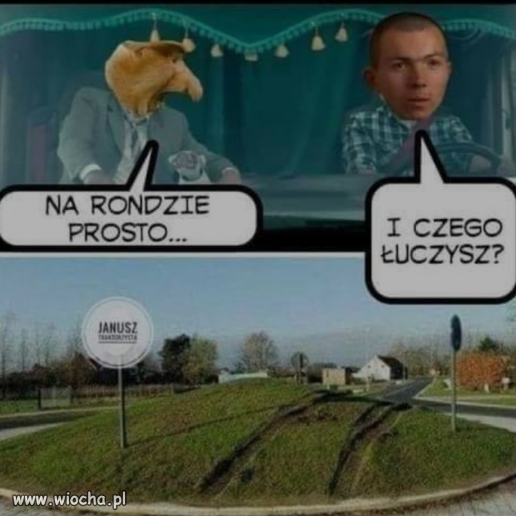 Nauka jazdy 