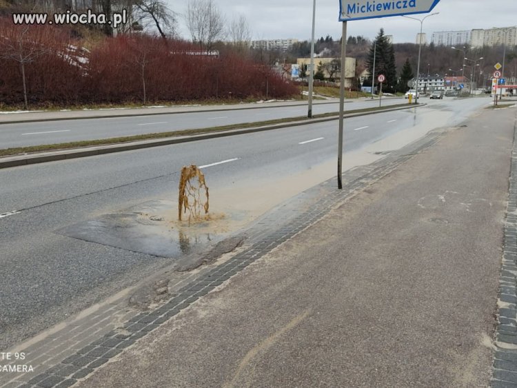 Jaki kraj taki gejzer 