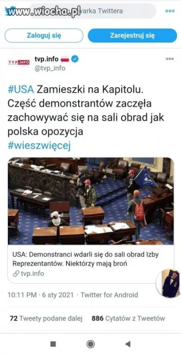 Kurwizja w pełni sił