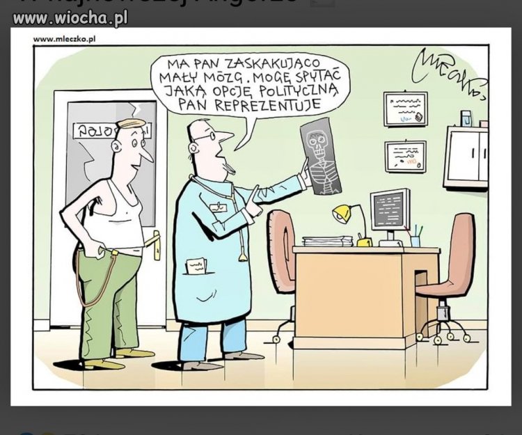 Polityczne heheszki