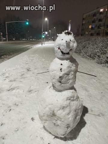 Kiedy wracasz z zakupów