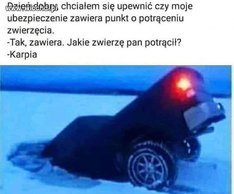 Polisa obejmuje
