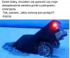 Polisa obejmuje