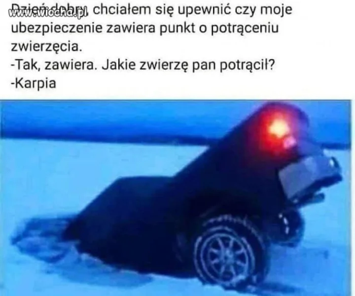Polisa obejmuje