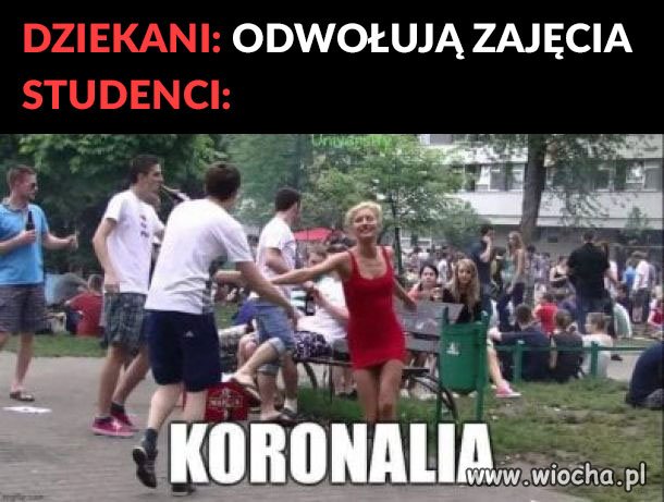 Koronali