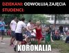 Koronali
