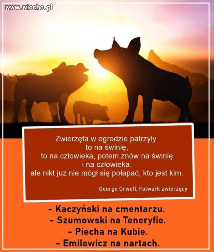Kto kim jest? 