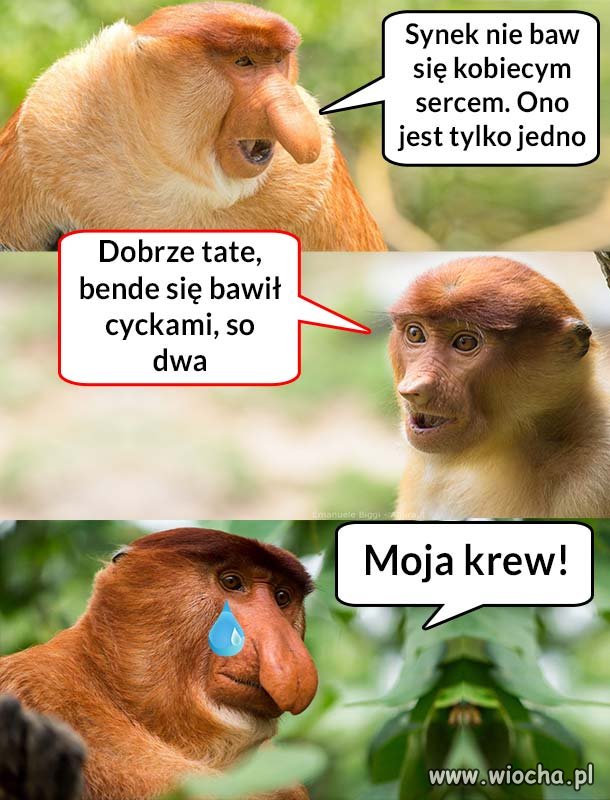 Baw się czym innym 