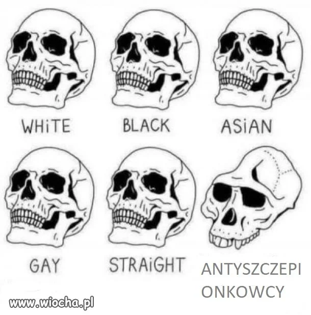 Antyszczepionkowcy