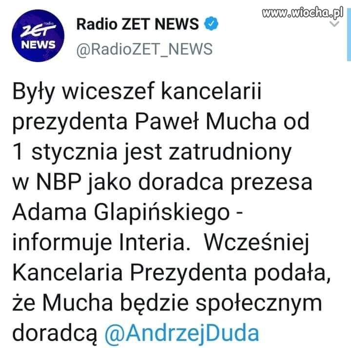 Program