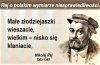 Wymiar sprawiedliwości...