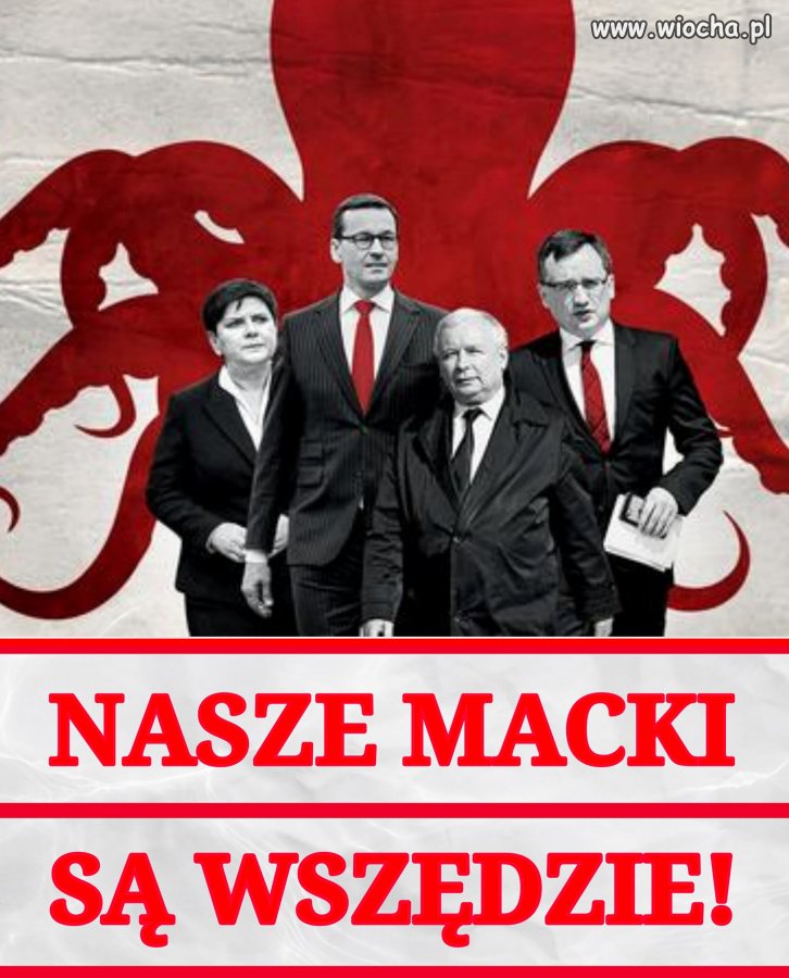 Kiedyś był problem ośmiorniczek. Dziś mamy to: