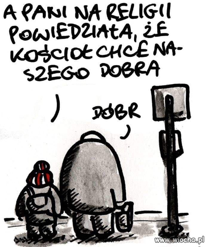 Coś w tym jest