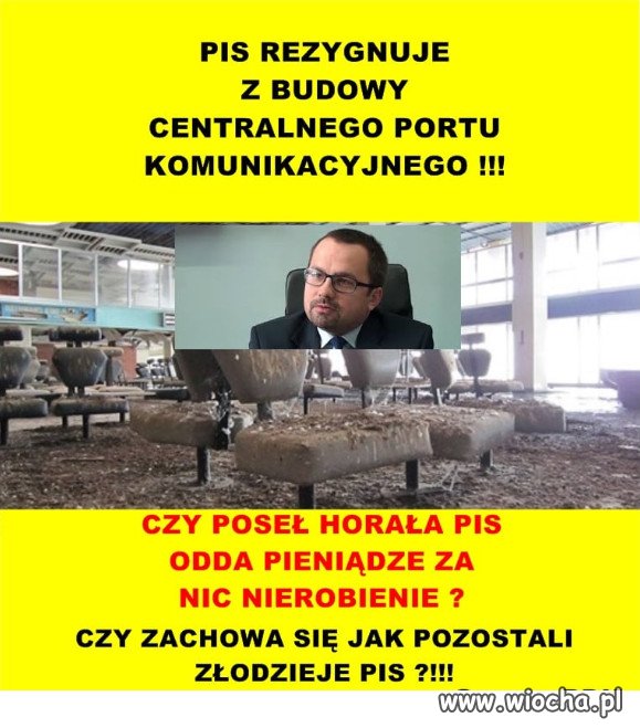 CZY POSEŁ HORAŁA PIS ODDA PIENIĄDZE 