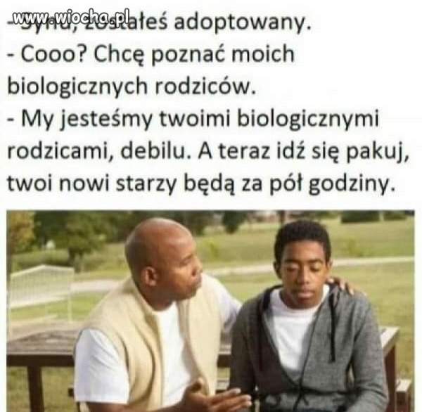 Adopcja